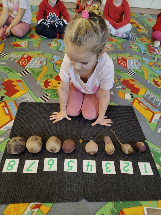 Realizacja programu "Skąd się biorą produkty ekologiczne" - Dzień Buraka